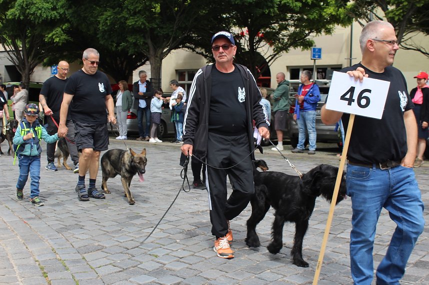 Farbenfroher Festumzug zum 211. Brunnenfest in Bad Langensalza