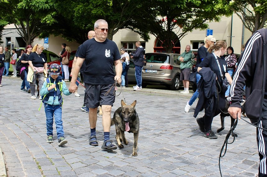 Farbenfroher Festumzug zum 211. Brunnenfest in Bad Langensalza