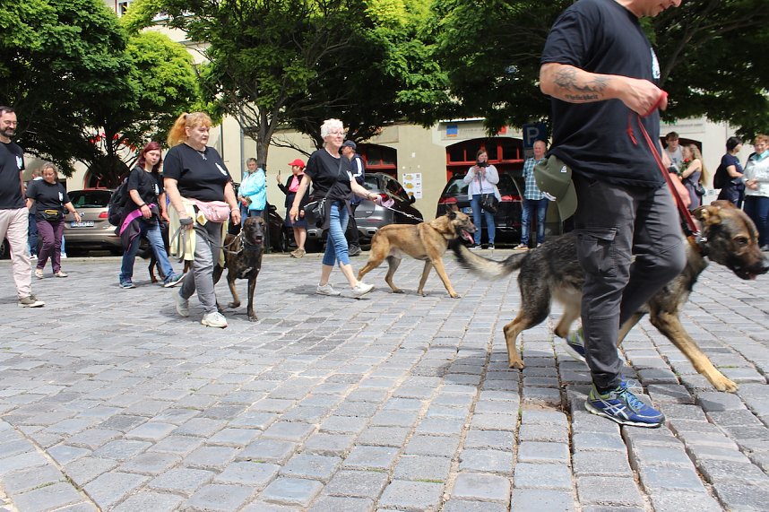 Farbenfroher Festumzug zum 211. Brunnenfest in Bad Langensalza