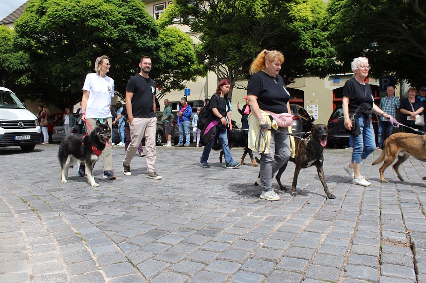 Farbenfroher Festumzug zum 211. Brunnenfest in Bad Langensalza