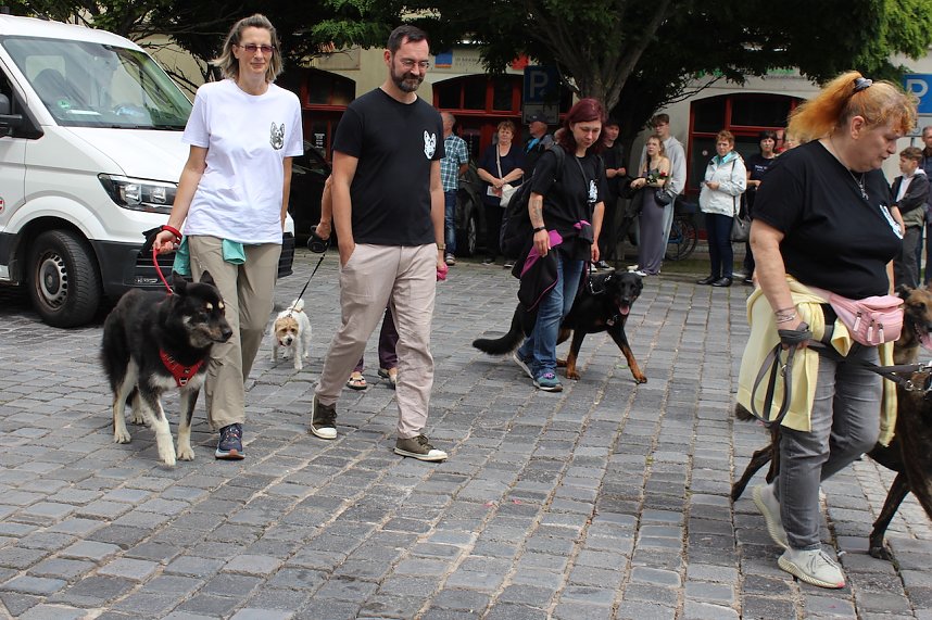 Farbenfroher Festumzug zum 211. Brunnenfest in Bad Langensalza