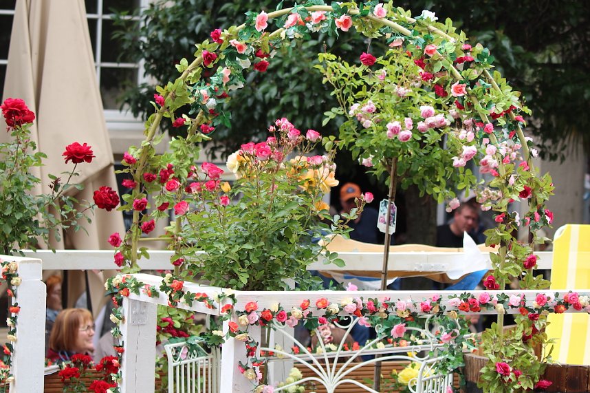 211. Brunnenfestumzug in Bad Langensalza mit vielen fr&ouml;hlichen Akteuren