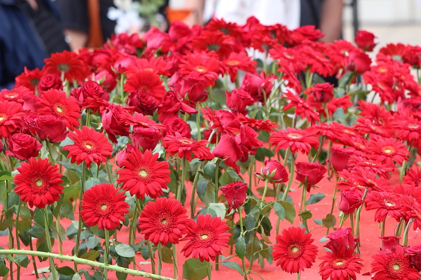 211. Brunnenfestumzug in Bad Langensalza mit vielen fr&ouml;hlichen Akteuren