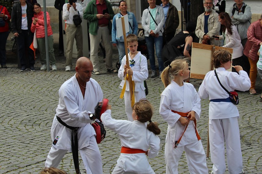 Teilnehmerinnen und Teilnehmer des Festumzuges zum 211. Brunnenfest in Bad Langensalza 