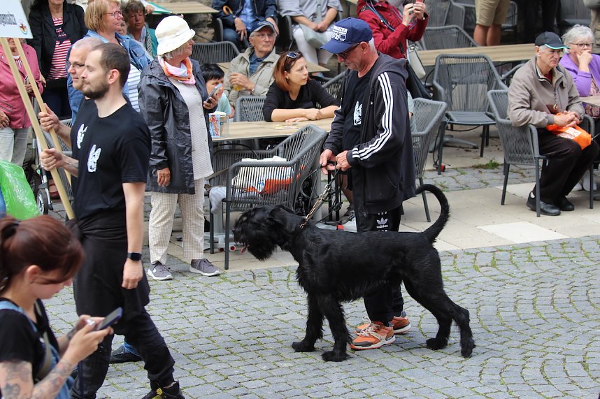 Teilnehmerinnen und Teilnehmer des Festumzuges zum 211. Brunnenfest in Bad Langensalza 