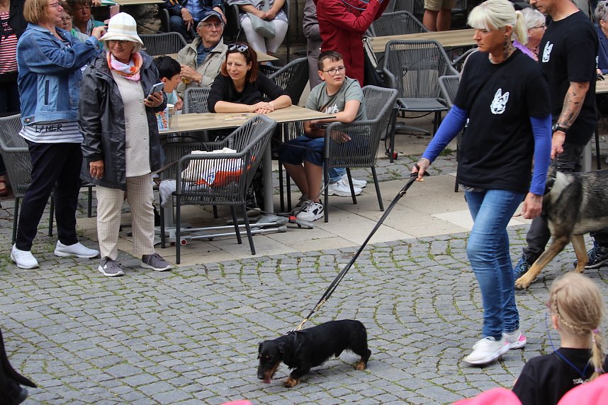 Teilnehmerinnen und Teilnehmer des Festumzuges zum 211. Brunnenfest in Bad Langensalza 