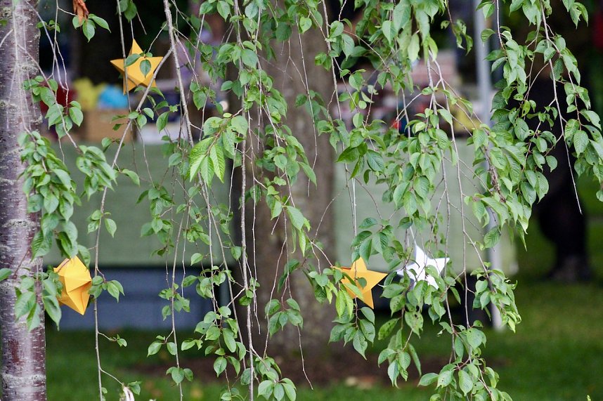 TANABATA im Japanischen Garten in Bad Langensalza