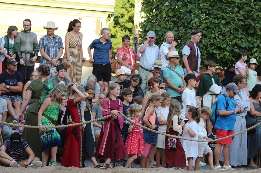 Hochprofessionelle Reitershow mit "Wenzel Ritterspiele"