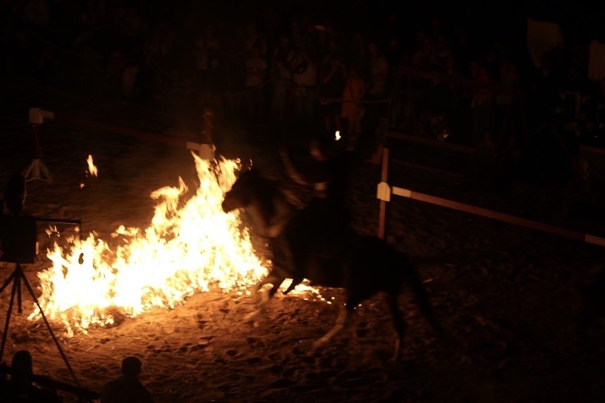 Hochprofessionelle Reitershow mit "Wenzel Ritterspiele"