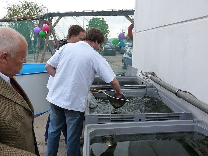 Fischerfest Auleben