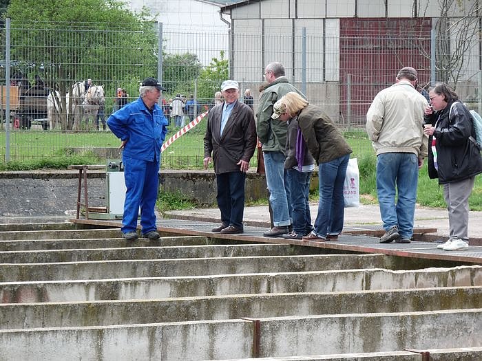 Fischerfest Auleben