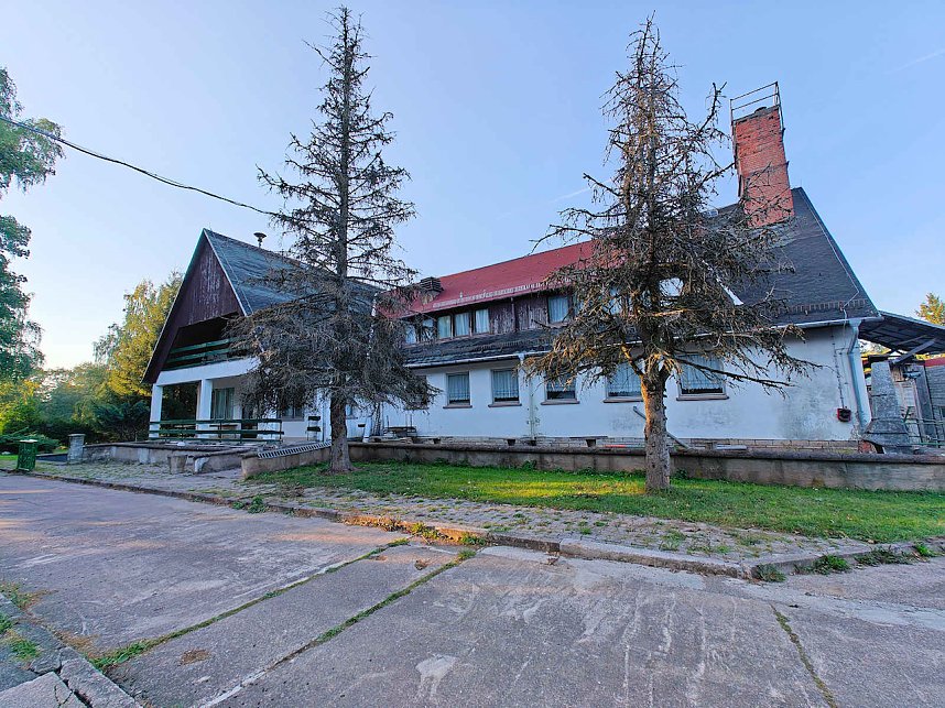 Peter Blei beim Waldspaziergang