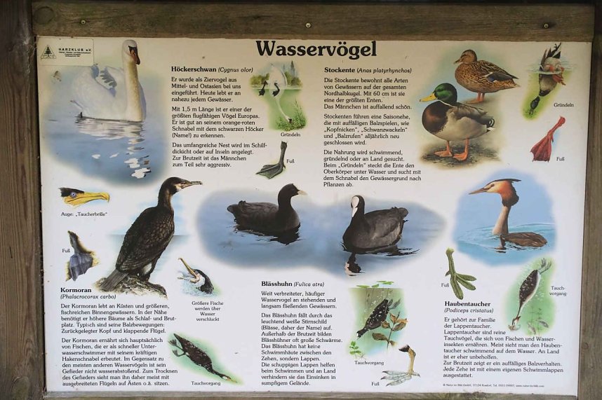 Sonntagswanderung an der Hassel-Vorsperre