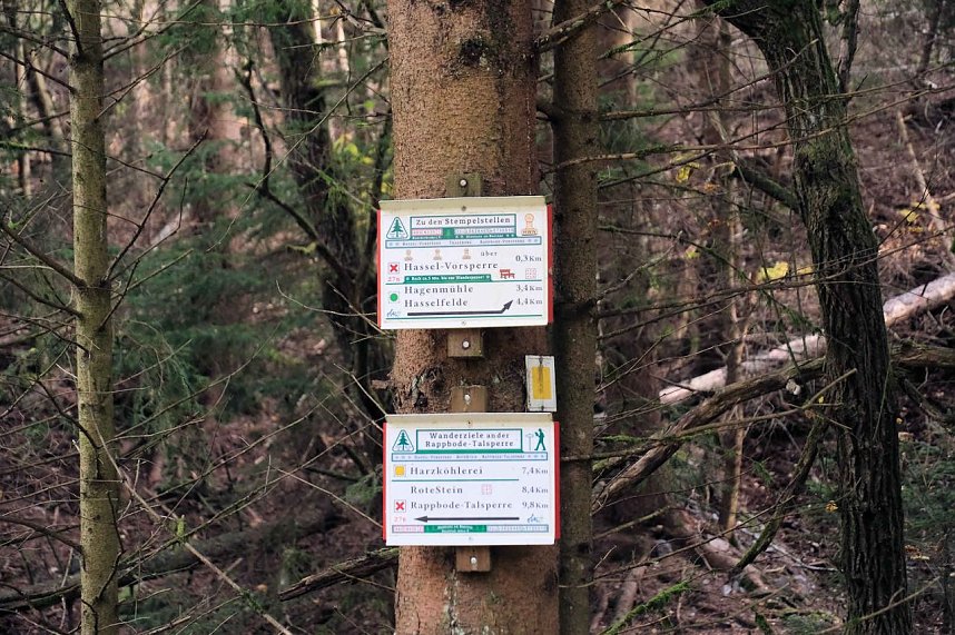 Sonntagswanderung an der Hassel-Vorsperre