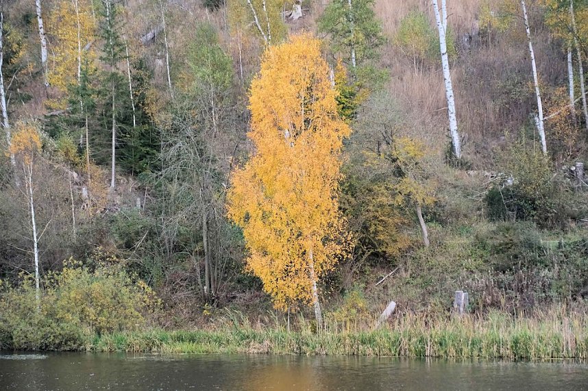 Sonntagswanderung an der Hassel-Vorsperre