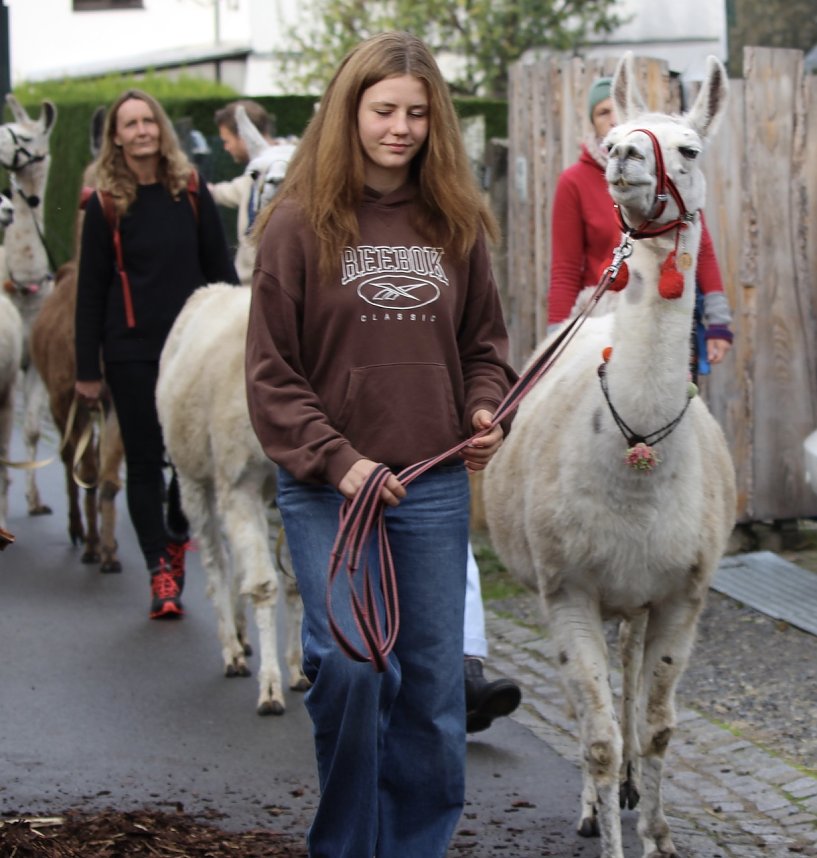 Unterwegs mit den Unstrut Lamas aus Herbsleben