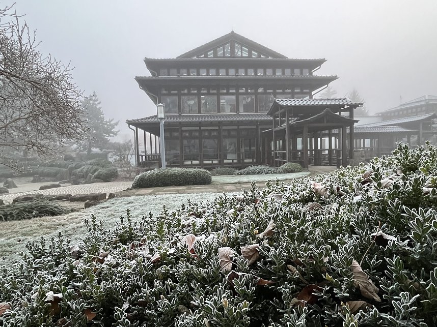 Pfefferkuchenmarkt am 1. Advent in Bad Langensalza
