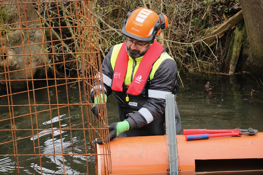 Biberbau-Drainage in der Salza