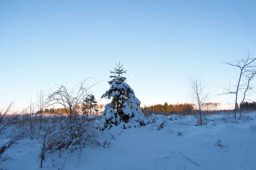 Winterlicher Harzausflug mit Kamera