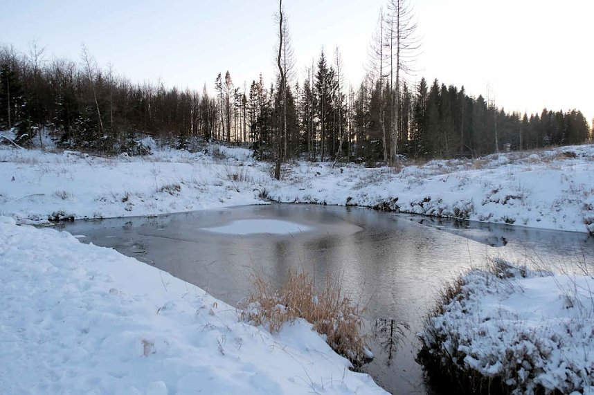 Winterlicher Harzausflug mit Kamera