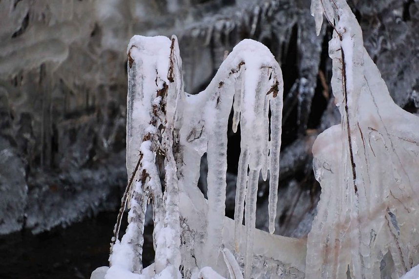 Winterlicher Harzausflug mit Kamera