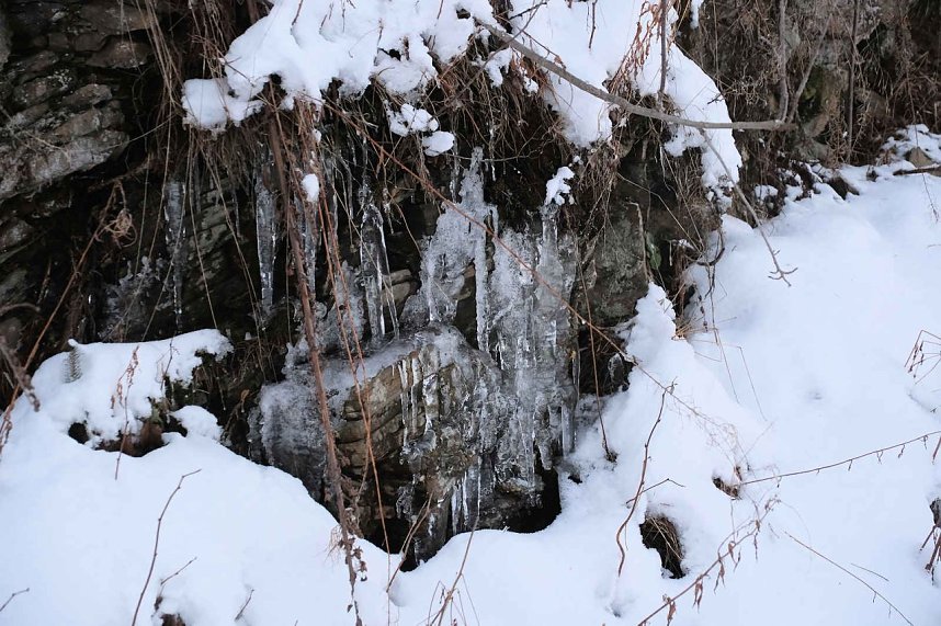 Winterlicher Harzausflug mit Kamera