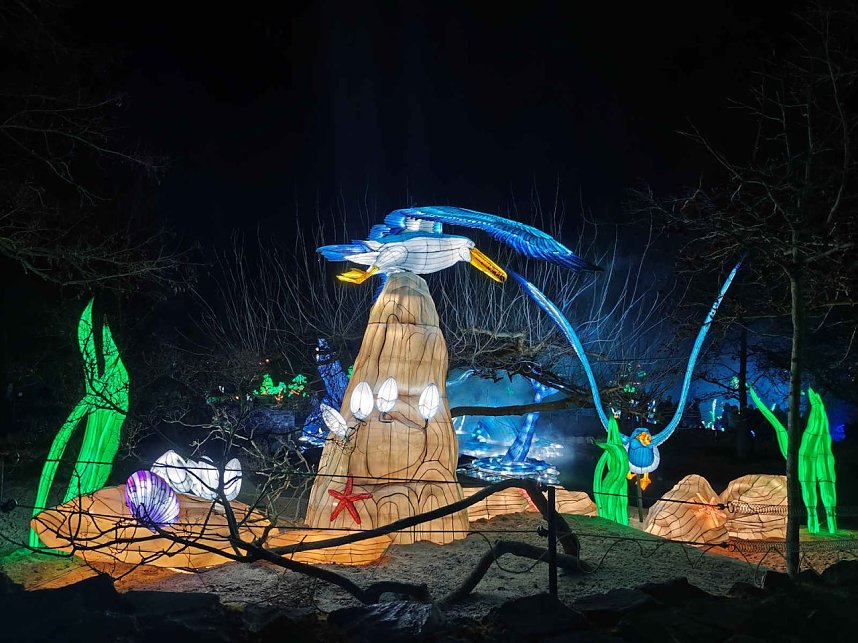 Magische Lichterwelten in Halle