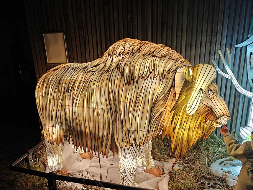 Magische Lichterwelten in Halle