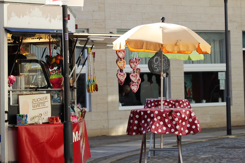 Rosenmontagsumzug 2025 in Sondershausen