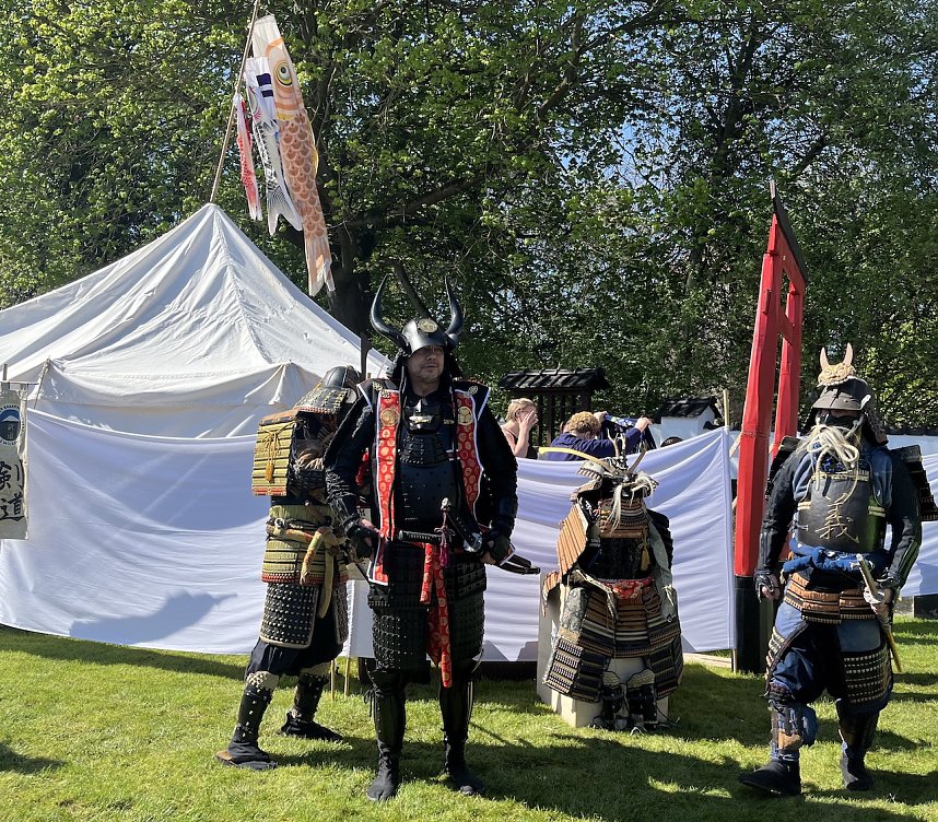 Hanami im Japanischen Garten