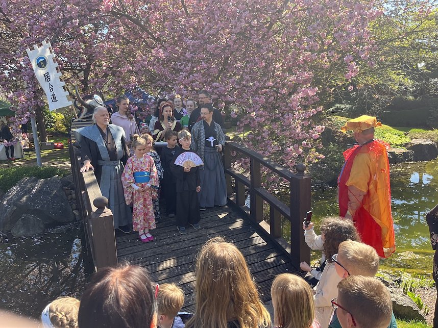 Hanami im Japanischen Garten