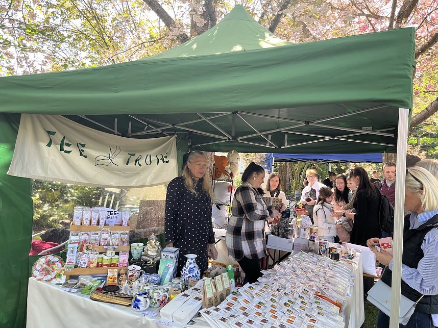 Hanami im Japanischen Garten
