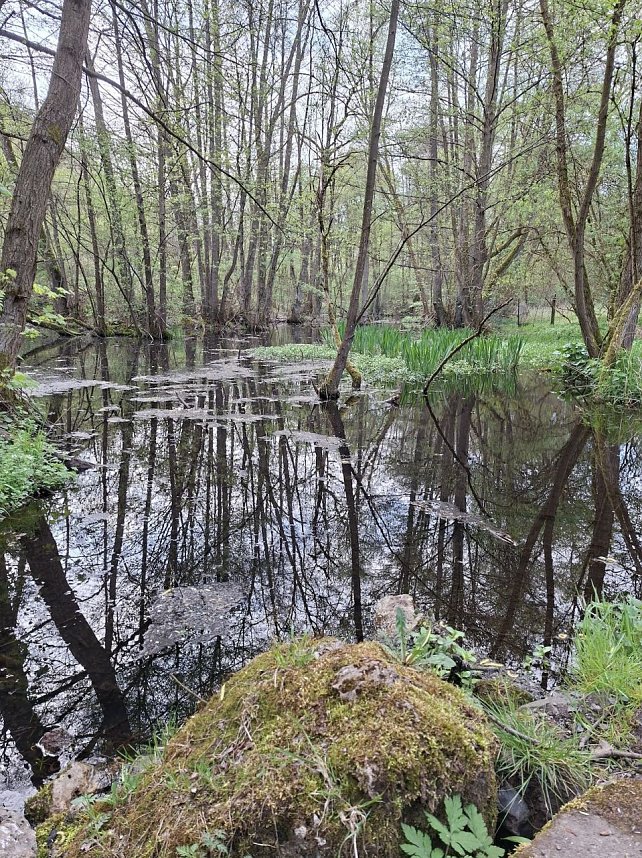 Impressionen von einer doppelten Harzquerung