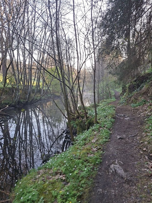 Impressionen von einer doppelten Harzquerung
