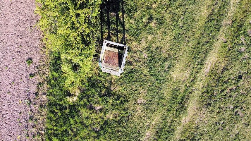 Gelbe Fr&uuml;hlingsstimmung