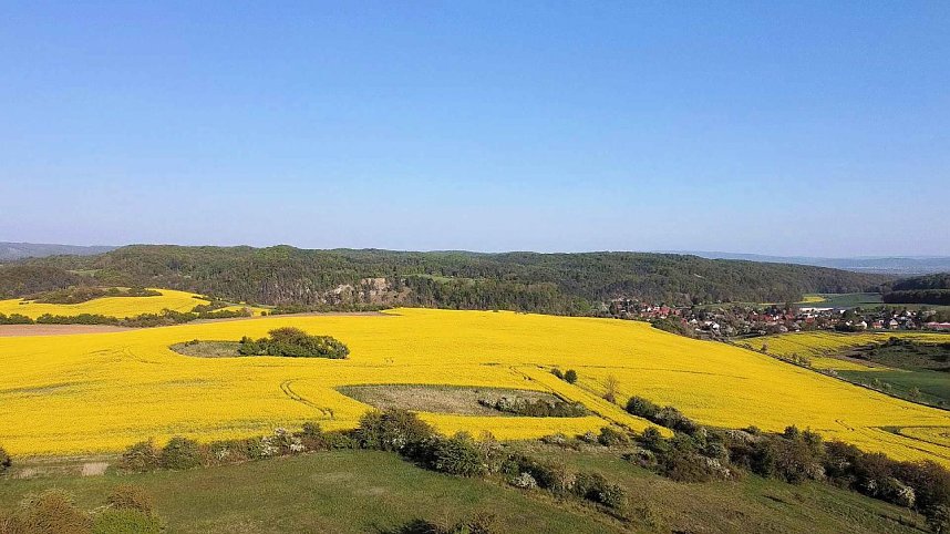 Gelbe Fr&uuml;hlingsstimmung