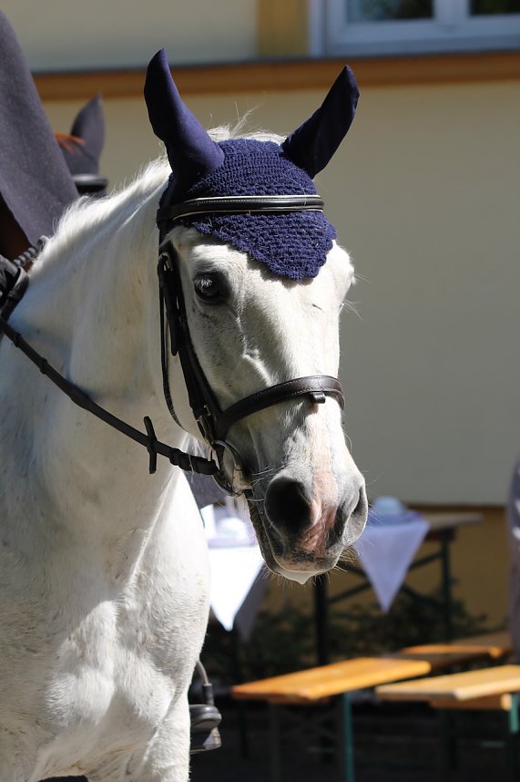 Impressionen Novalisritt 2025 am Schloss "Sophie von K&uuml;hn" in Gr&uuml;ningen