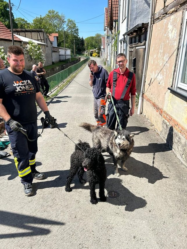 Hund steckt im Wassergraben fest 