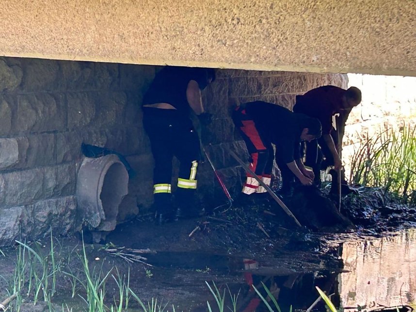 Hund steckt im Wassergraben fest 