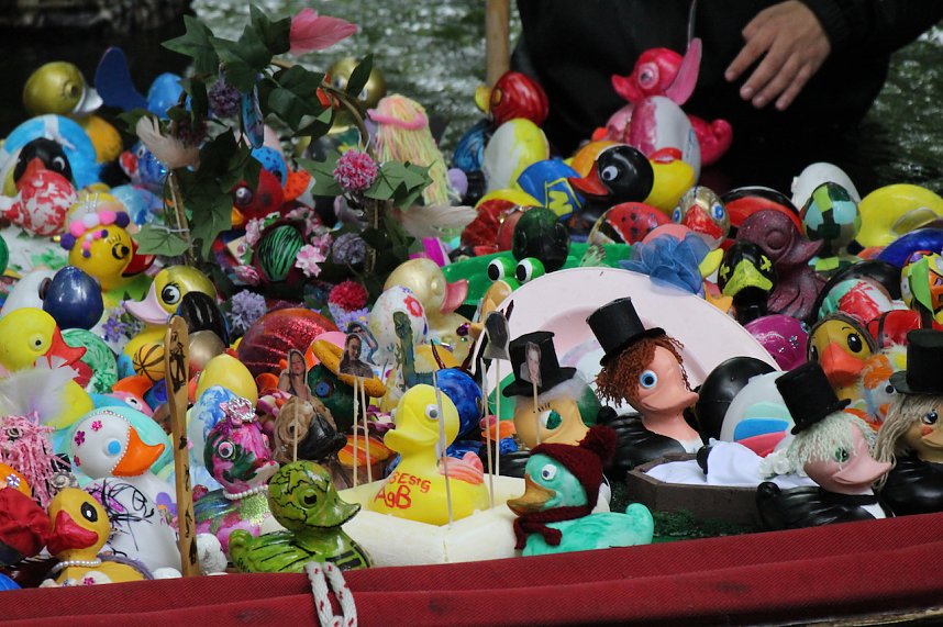 Entenrennen 2025 in Bad Langensalza 