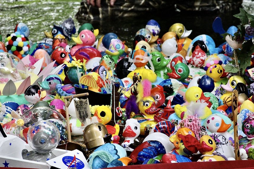 Entenrennen 2025 in Bad Langensalza 