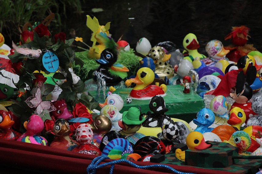 Entenrennen 2025 in Bad Langensalza 