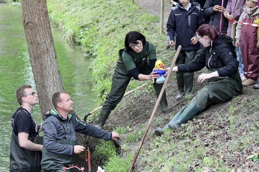 Entenrennen 2025 in Bad Langensalza 