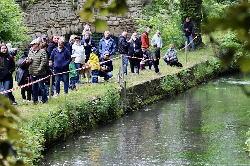 Entenrennen 2025 in Bad Langensalza 