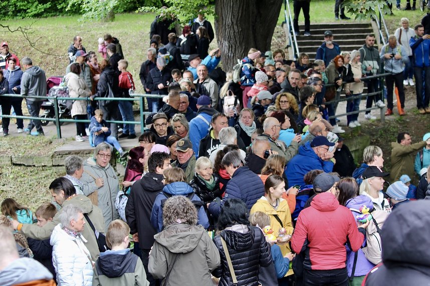 Entenrennen 2025 in Bad Langensalza 