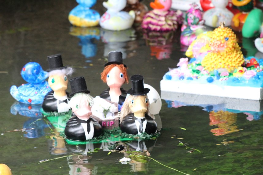 Entenrennen 2025 in Bad Langensalza 