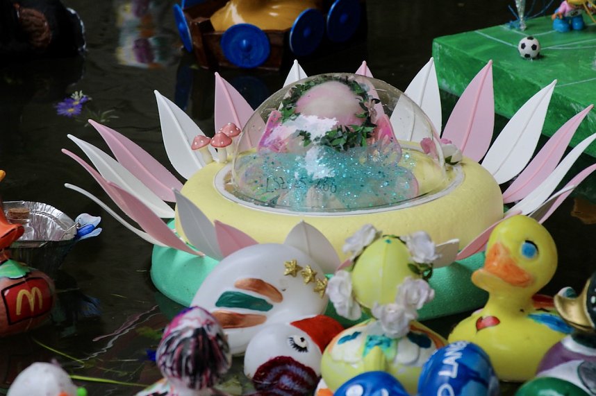 Entenrennen 2025 in Bad Langensalza 