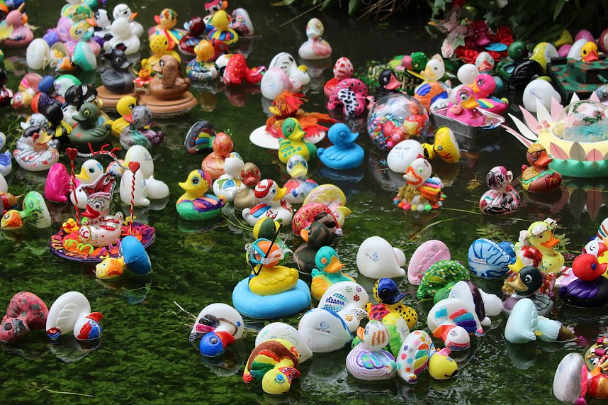 Entenrennen 2025 in Bad Langensalza 