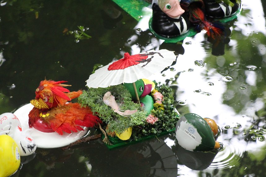 Entenrennen 2025 in Bad Langensalza 