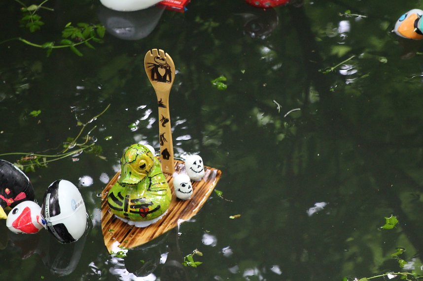 Entenrennen 2025 in Bad Langensalza 